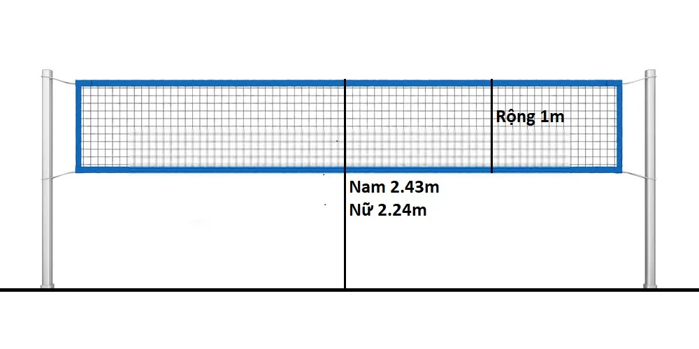 Sơ đồ chiều cao lưới bóng chuyền tiêu chuẩn